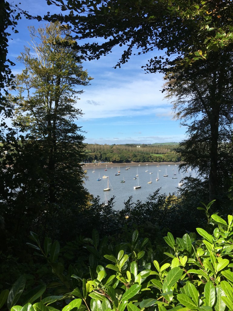 Boats docked on the River Dart