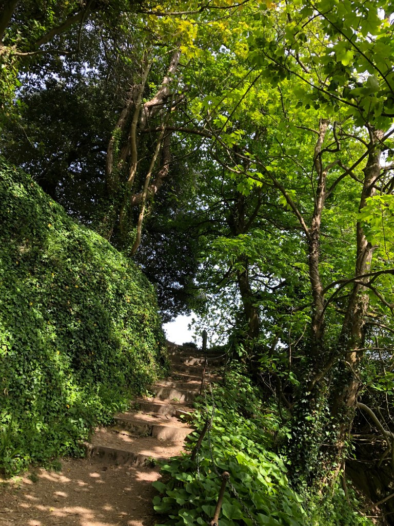 Coastal woodland walking.
