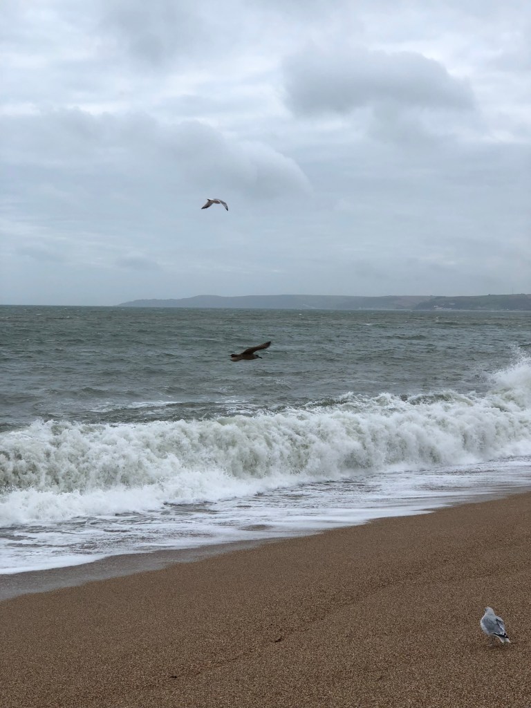 Atmospheric grey skies and seagull calls.