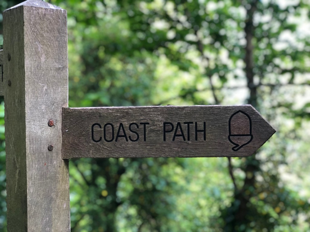 Woodland meets the coast.