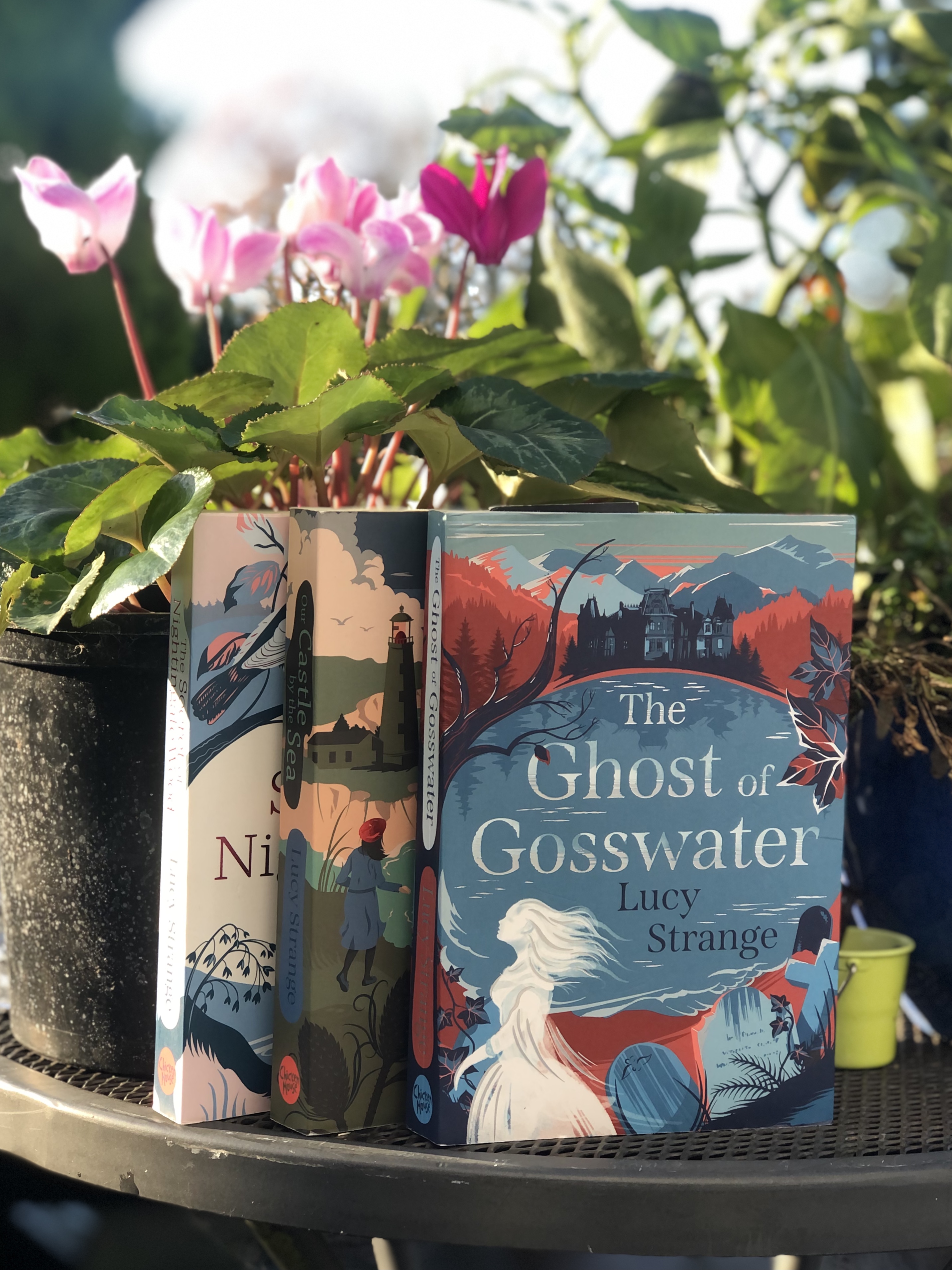 The Ghost of Gosswater by Lucy Strange – Views from a Bookshop